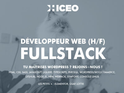 Offre d'emploi : développeur Web H/F Fullstack